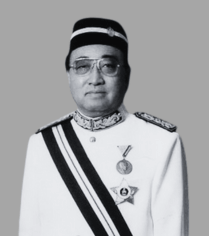 Tan Sri Robert Pang Web