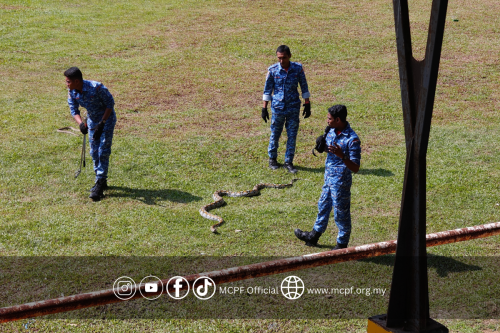 sk_ttdi_2026_4